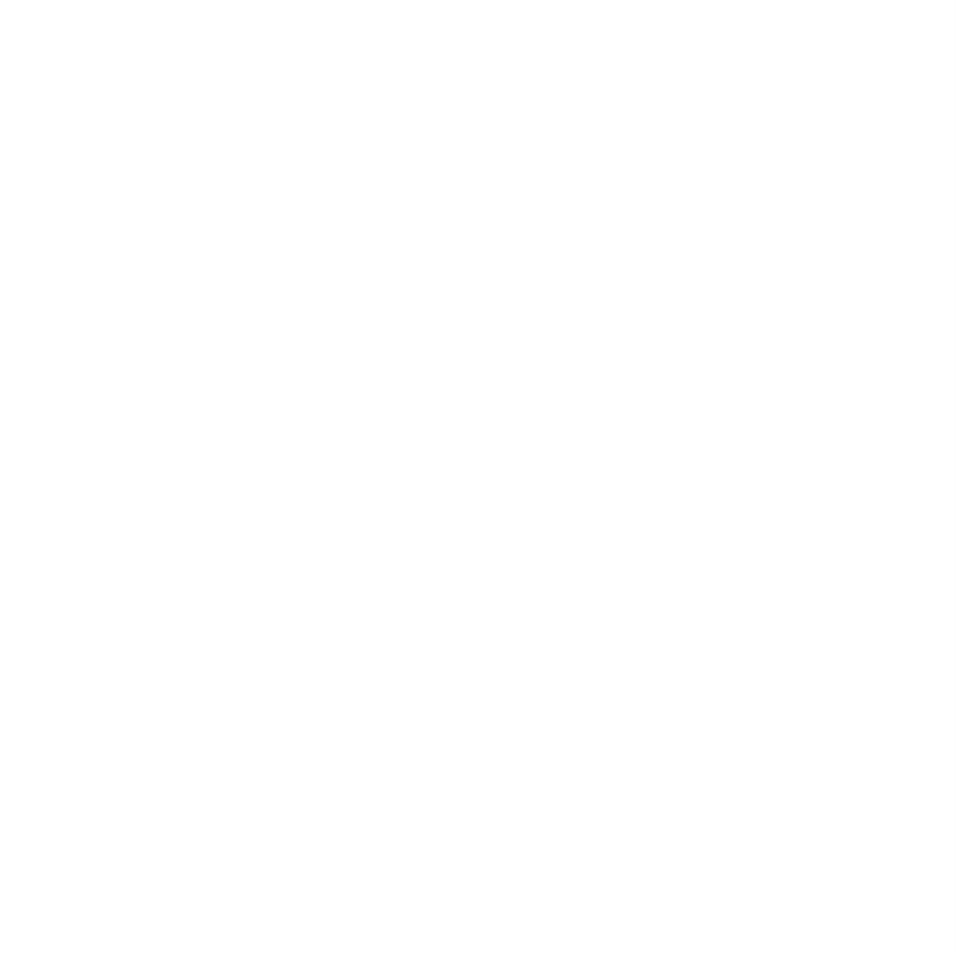 Accueil